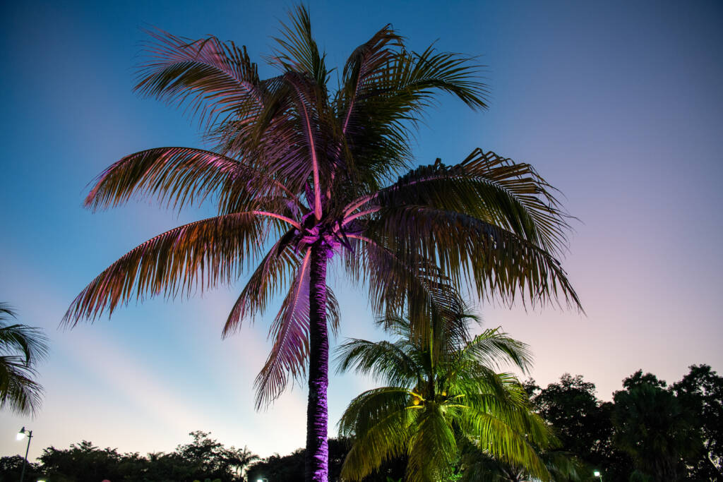 A Little Piece of Paradise