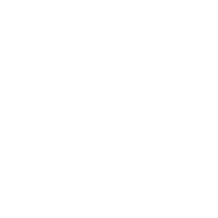 brand-x-fff.png