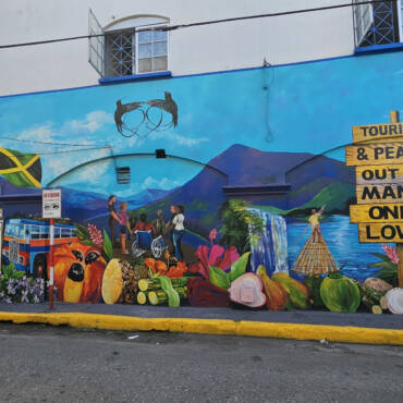 All About Kingston!