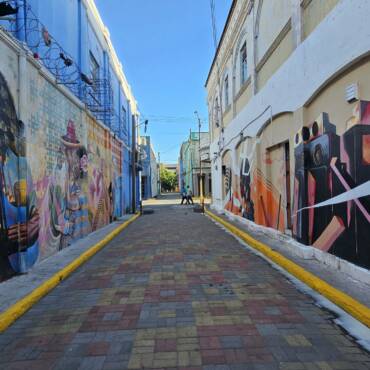 You’re in Kingston, Now What?