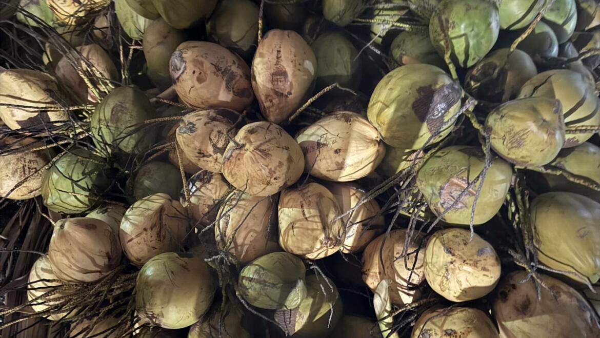 Favorite Post-Race Amenities