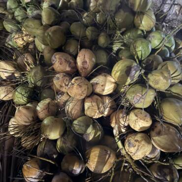 Favorite Post-Race Amenities